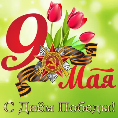 Открытки с Днем Победы на 9 мая: красивые картинки и поздравления с  праздником - МК Новосибирск
