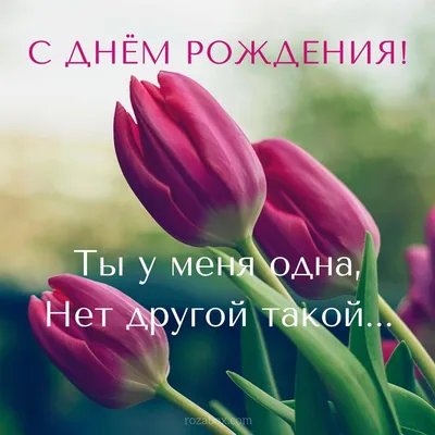 Красивые открытки с днем рождения с ТЮЛЬПАНАМИ 🌷💐 (105 шт.)