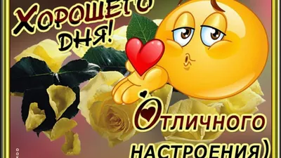 Картинки с пожеланием Доброго дня — 🎁 Скачать бесплатно картинки с  пожеланиями на 