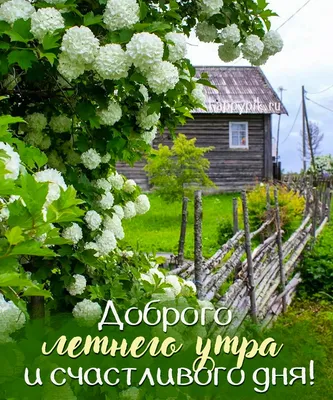 Яркая картинка: "Доброе утро!" С пожеланием в стихах, бабочками и цветами •  Аудио от Путина, голосовые, музыкальные