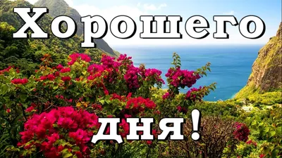 Пожелания хорошего дня в картинках, своими словами, в стихах, в смс и  христианские пожелания доброго дня — Украина — 