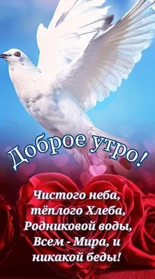 Идеи на тему «Доброе утро» (46) в 2023 г | доброе утро, открытки,  счастливые картинки