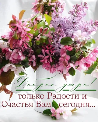 Идеи на тему «Цитаты про утро» (390) в 2023 г | цитаты про утро, доброе  утро, цитаты