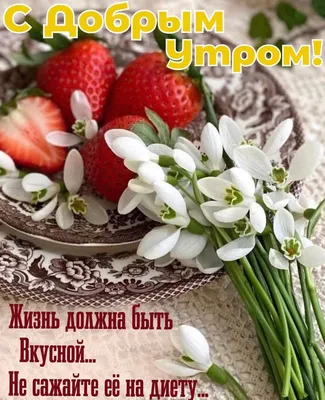 Идеи на тему «Цитаты про утро» (390) в 2023 г | цитаты про утро, доброе  утро, цитаты