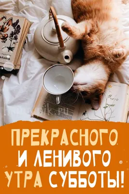 С добрым утром субботы | Illustration, Illustrations and posters, Animal  illustration