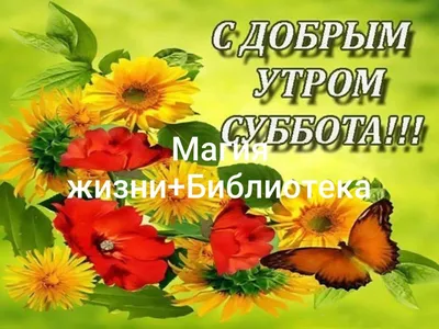 Доброе утро Субботы! Отличных выходных! 🌹☕☕🌹❤️🍁💋🍂💖 | Доброе  утро, Субботы, Утренние сообщения