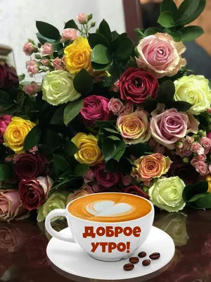 Картинки с добрым утром женщине. ☀️☕ 100 (232 шт.)