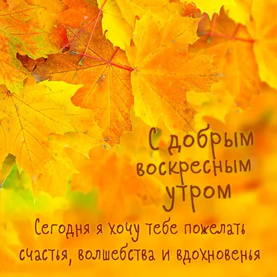 Красивые пожелания с добрым утром: стихи, проза, открытки - МЕТА