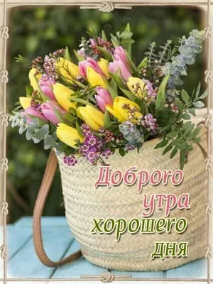 Создать мем "доброе утро воскресенье, доброго воскресенья, прекрасного  воскресного дня" - Картинки - 