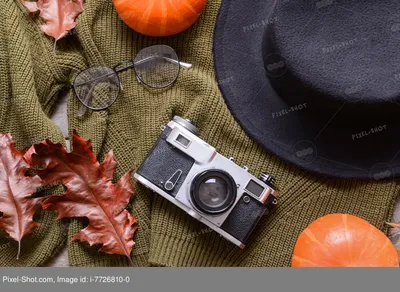 Плюшевый мишка с фотоаппаратом Canon…» — создано в Шедевруме