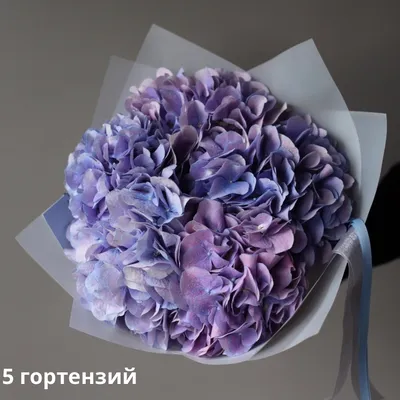 Букет из сиреневых гортензий - заказать доставку цветов в Москве от Leto  Flowers