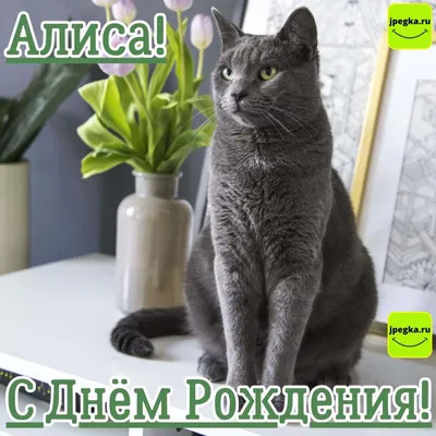 ник для имени алиса｜TikTok Search