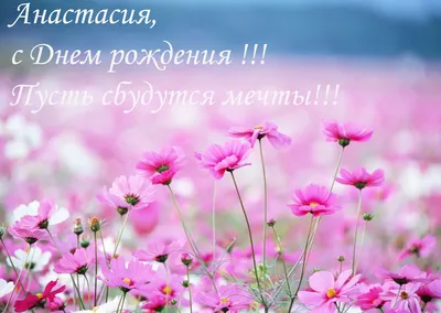 С днем рождения, Анастасия | С днем рождения, Юбилейные открытки, Семейные  дни рождения