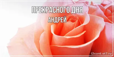 С днем рождения Андрей прикольные поздравления - 70 фото