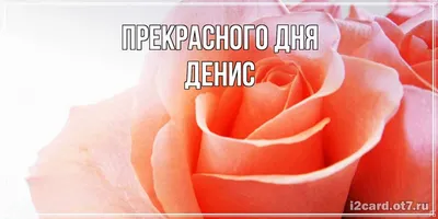 Открытка с именем Денис С днем рождения подарки на розовом фоне. Открытки  на каждый день с именами и пожеланиями.