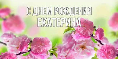 На радость всем Воздушный шар с именем Екатерина, Катя, Катенька