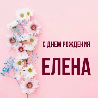 Открытка с именем Елена Главная. Открытки на каждый день с именами и  пожеланиями.