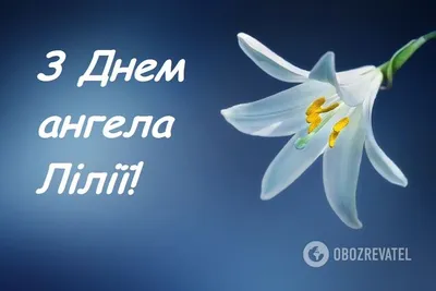 Поздравления с 8 марта Лилии » Голосом Путина, аудио, голосовые, в стихах,  открытки и картинки