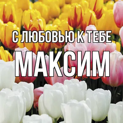 Картинки с именем "Максим я тебя люблю" - подборка