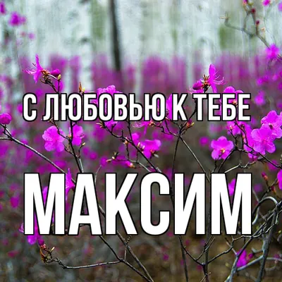 Красивые с именем максим картинки