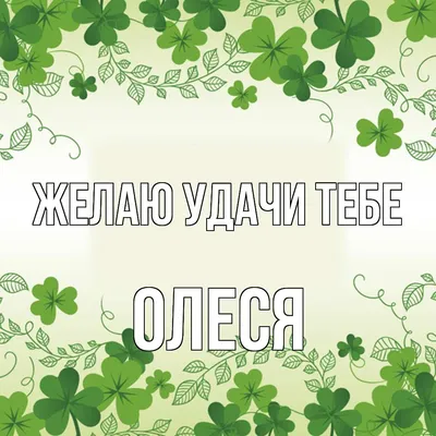 Открытка с именем Олеся С днем рождения красивые цветы и открытки с ними.  Открытки на каждый день с именами и пожеланиями.