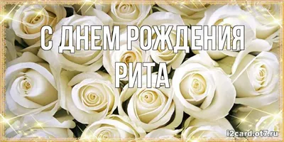 Открытка с именем Рита С днем рождения белые и красные розы для любимых.  Открытки на каждый день с именами и пожеланиями.