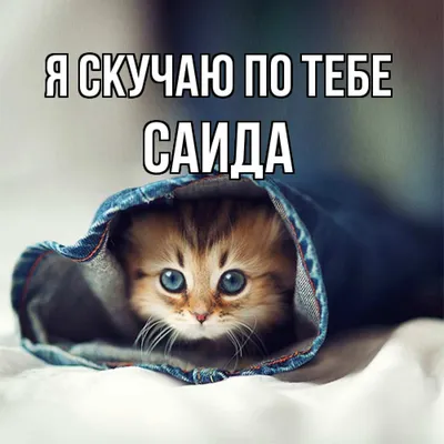 Саида#имена #арабском | TikTok