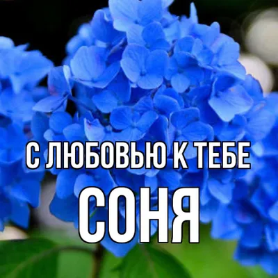 Значение имени Соня - Тайна имени - Женское - YouTube