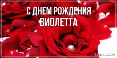 Открытка с именем Виолетта С днем рождения нежные цветы много маленьких  цветов. Открытки на каждый день с именами и пожеланиями.