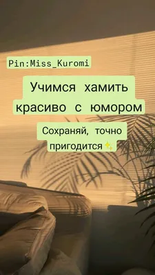 Красиво у вас, я бы тут повесился: порция неожиданного чёрного юмора