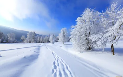 Красивая зима (60 фото) | Зимние сцены, Зимний домик для отдыха, Зимние  картинки