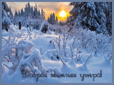 Красивые Зимние Пейзажи Лесом Полным Деревьев Покрытых Снегом Россия  Холодный стоковое фото ©ERIVOLTA 326805598