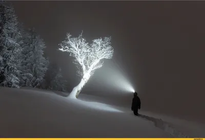 красивые картинки :: зима :: Природа - JoyReactor