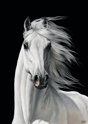 Пазл Красивые кони 200 эл 13248 - Пазлы / Интернет-магазин Пазломан
