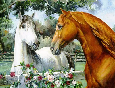 Красивые с конями картинки