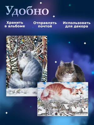 Mymagicard Открытки с красивыми котами