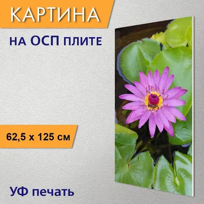 Светильник в стиле ретро с плавающим лотосом, красивые цветы, фонарик,  изысканный светодиодный светильник в виде лотоса, искусственный плавающий  Лотос, креативный домашний декор | AliExpress