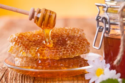 Мед красивые картинки - 70 фото