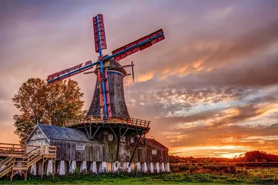 Нидерланды: страна тюльпанов и ветряных мельниц | Ветряная мельница,  Пейзажи, Красивые места