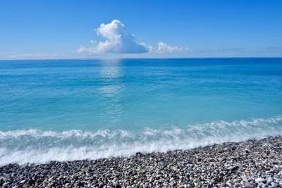 Море пальмы белый песок (57 фото) - 56 фото