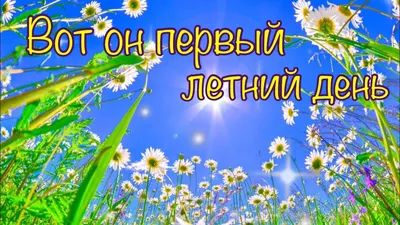 С первым днем лета: красивые и прикольные картинки для поздравлений на 1  июня - МК Новосибирск