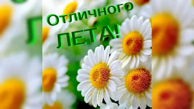 Ура !С первым днём лета!Позитива ,хорошего настроения всем !!!#лето,#п... |  TikTok