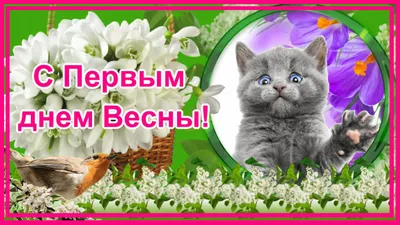 25 необычных картинок «С Первым днем весны!» – Блог Canva