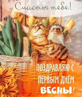 25 необычных картинок «С Первым днем весны!» – Блог Canva