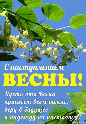 Налоговая служба Югры поздравляет с наступлением весны! | ФНС России | 86  Ханты-Мансийский автономный округ-Югра