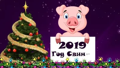 С Новым годом 2019: яркие поздравления и открытки