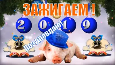 Новый год 2019: поздравления в картинках