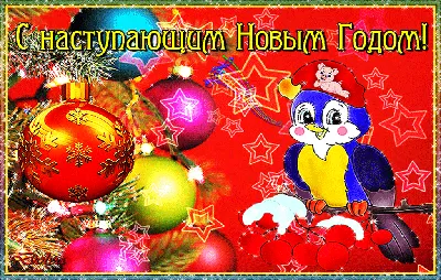 С НОВЫМ ГОДОМ 2019! 🎄 Красивые новогодние пожелания в год Свиньи 2019 |  Поздравления от души | Дзен