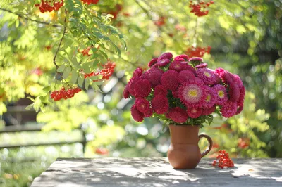 Красивые красочные осенние цветы, …» — создано в Шедевруме