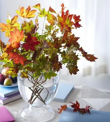 Цветут красивые осенние цветы,осень,…» — создано в Шедевруме